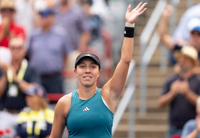 讨论和推测 讨论和推测